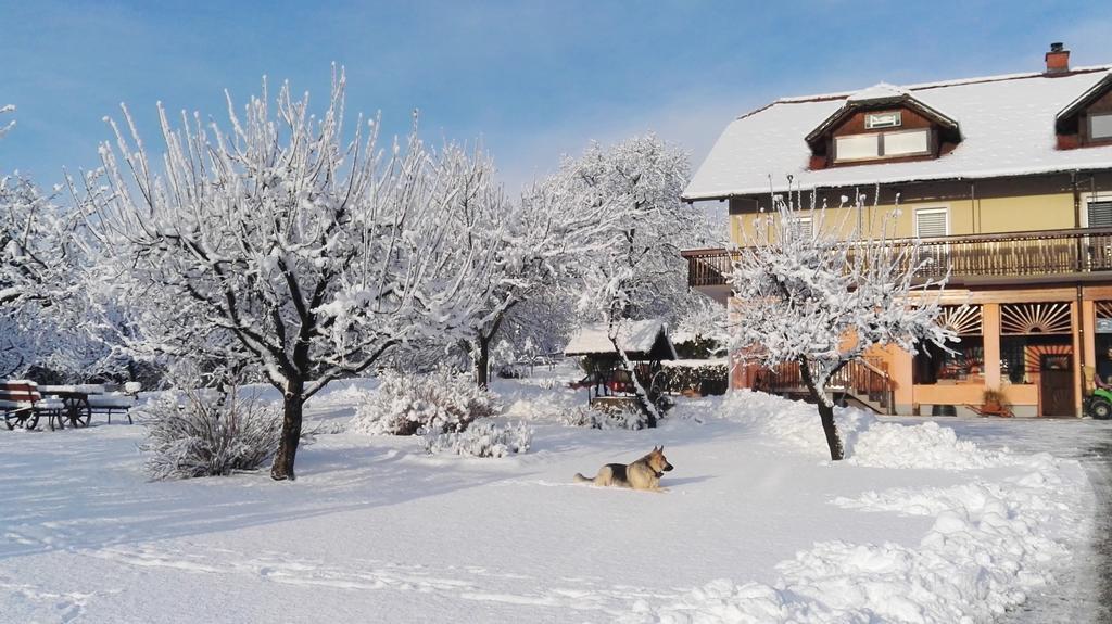 Panorama B&B Ptuj Exterior foto